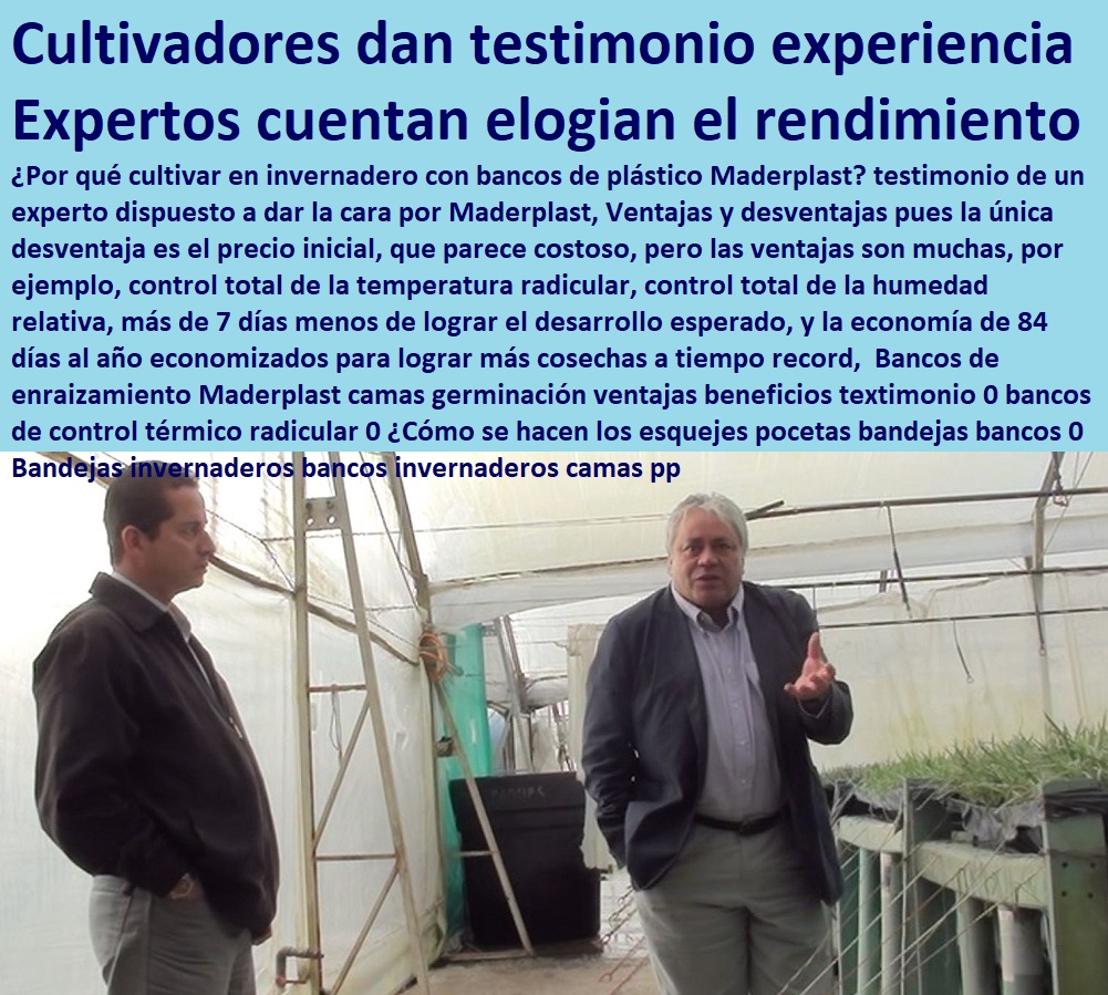 Bancos de enraizamiento Maderplast camas germinación ventajas beneficios textimonio 0 HIDROPONÍA, AGRICULTURA, COSECHA, POSCOSECHA, Tutores para Flores cable vía Bananas Aromáticas, Cultivos Tecnificados, Invernaderos, Semilleros, Bancos De Siembra, bancos de control térmico radicular 0 ¿Cómo se hacen los esquejes pocetas bandejas bancos 0 Bandejas invernaderos bancos invernaderos camas pp Bancos de enraizamiento Maderplast camas germinación ventajas beneficios textimonio 0 bancos de control térmico radicular 0 ¿Cómo se hacen los esquejes pocetas bandejas bancos 0 Bandejas invernaderos bancos invernaderos camas pp